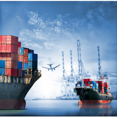 International Sea Freight LCL FCL From China To Belgium Forwarding
