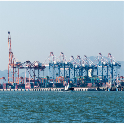 24h Response International Shipping Via Sea Logistics Service From China To Malaysia