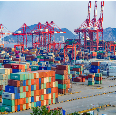 24 Hours Response Logistics International Sea Freight Shipping Service From China To Thailand