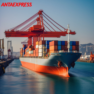 Ddu Ddp Logistic Sea Riders Freight Forwarder Service From Shenzhen To World