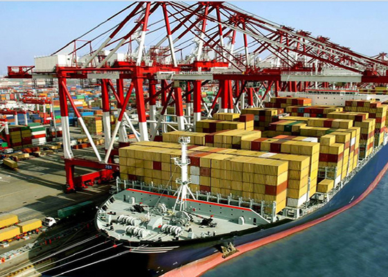 Container Shipping From China To Oceania Freight Forwarder