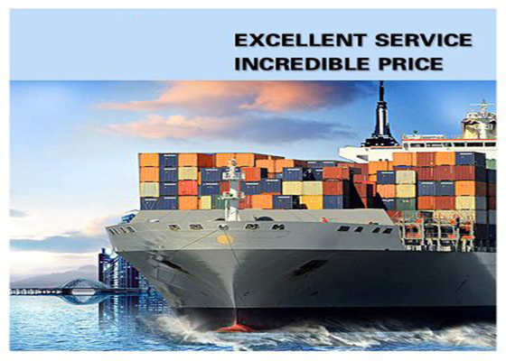 Container Shipping From China To Oceania Freight Forwarder