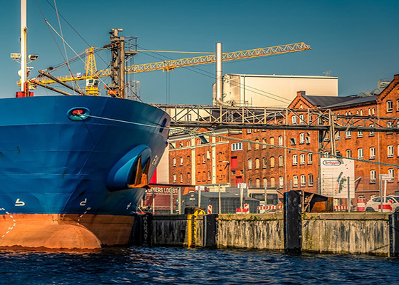 Container Shipping From China To Oceania Freight Forwarder