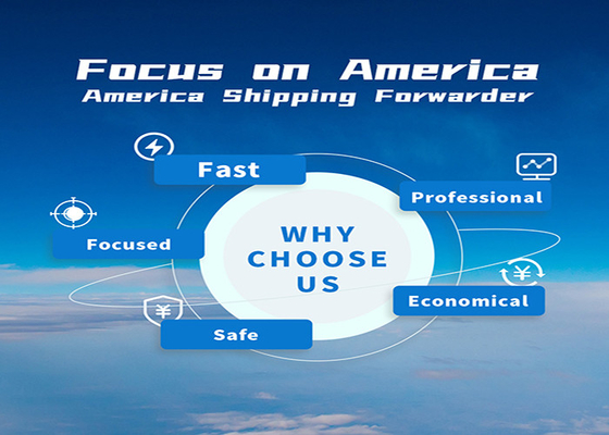 Door To Door DDU Shipping From China To Netherlands USA UK Denmark