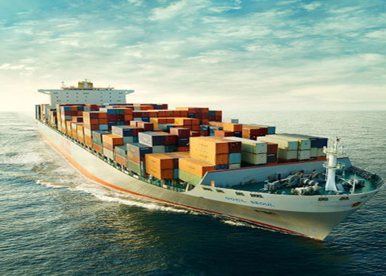 FCL LCL International Sea Freight Shipping From China To Chile