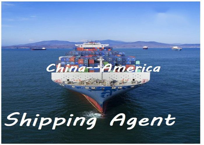 Door To Door DDU Shipping From China To Netherlands USA UK Denmark